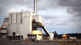 Tokoroa timber town  Roadside Stories [upl. by Kawai803]