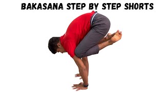 Bakasana step by step shorts [upl. by Voltmer]