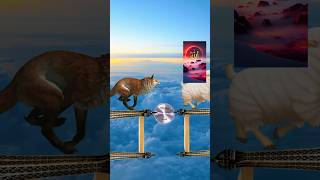 vfx good video Bakra Kari bado badianimals trending pubh [upl. by Alywt834]