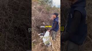 Gunung Prau Penuh Tinja pendaki viralvideo foryou reaction viralvideo [upl. by Aisatan755]