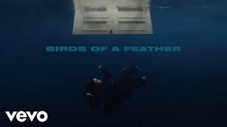 Billie Eilish  BIRDS OF A FEATHER Official Lyric Video [upl. by Ardekahs]