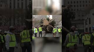 Rockefeller Center Christmas Tree arrives in New York City [upl. by Yenttirb]