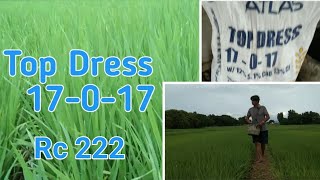 Top Dress Atlas 1701750DASRc222Wet Season [upl. by Aitselec]