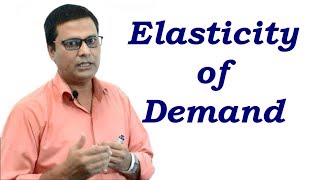 Elasticity of Demand in Hindi [upl. by Odeen324]