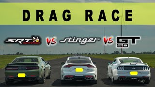 Dodge Challenger 392 Widebody vs Kia Stinger GT vs Ford Mustang GT IceWhite drag and roll race [upl. by Atkinson174]