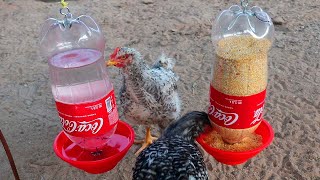 como hacer comedero y bebedero para gallinas gallos pollos y pollitos con botellas de plastico [upl. by Lukin]