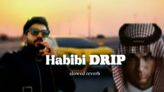 Habibi Drip slowed  reverb dabzee  Nivin Pualy [upl. by Shargel342]