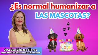 ¿Es Normal Humanizar A Las Mascotas El Sorprendente Ser Humano [upl. by Haase]