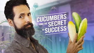 Growing CUCUMBERS and the SECRET to SUCCESS  SEED to HARVEST Garden Documentary [upl. by Hertz]