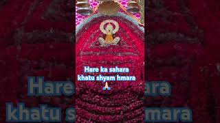 hare ka sahara khatu shyam hmara 🙏🏻🌹❤️❤️ Jai shree shyam 🌹 [upl. by Airekahs]