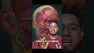 Causas de la parálisis facial anatomia fisioterapia dolor rehabilitación animation medicina [upl. by Rosemonde965]