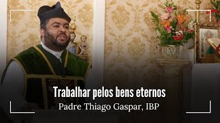 Trabalhar pelos bens eternos  Padre Thiago Gaspar IBP [upl. by Jankell]