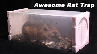 This Plastic Origami Rat Trap Is Awesome Catching A Huge Pack Rat Mousetrap Monday [upl. by Libb]