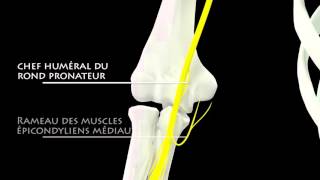 Elsevier Masson compléments vidéos [upl. by Millda]