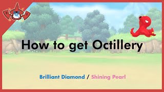 How to get Octillery in Pokemon Brilliant Diamond amp Shining Pearl 224 [upl. by Ardna]