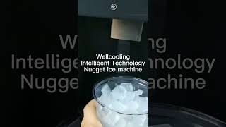 Wellcooling chewable nugget ice machine for drinks [upl. by Matthaus]