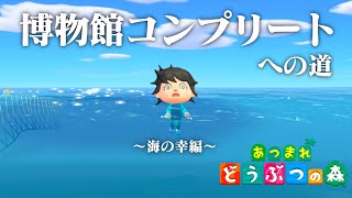 【生放送】あつまれどうぶつの森「博物館コンプリート」目指す配信〜海の幸編〜 [upl. by Sterrett290]