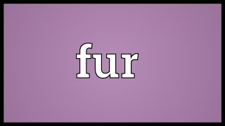 Fur Meaning [upl. by Lauder]