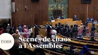 Sénégal  les députés dopposition évacués au moment du vote du report de la présidentielle [upl. by Ymirej]