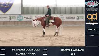 5 tappa AVCR 2024  HAMMER WOLFANG amp PS SUGAR BOOM BOOM score 1455 [upl. by Jolenta]