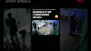 Funcionário de pet shop é flagrado dançando com cadela uol shorts [upl. by Delisle]