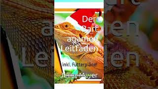 Dein ganzheitliches Bartagamenbuch INKLUSIVE Futterpläne für jedes Bartagamen Alter lohntsich 🎁✅😃 [upl. by Atirahs]