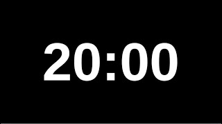 20 Minute Silent Timer Countdown Clock Black amp White Screen Video No Sound [upl. by Nairb302]