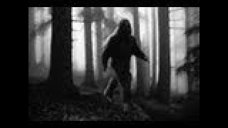 Bigfoot  Monster of Whitehall Documentary [upl. by Web655]