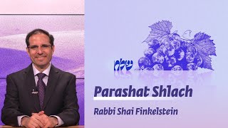 Parashat Shlach  Leadership styles  Rabbi Shai Finkelstein [upl. by Erika]