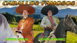 🐴 Corridos de Caballos 🐴 Vicente Fernández vs Antonio Aguilar 🐴 Mix Puros Corridos de Caballos [upl. by Jeralee71]