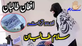 Urdu Nazam  about taliban  Salaam Taliban salaam Taliban Afghan Taliban  by Pushto HD Naat 50 [upl. by Lewes181]