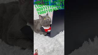 Cute cats make money by hacking 😂cat pets funny shorts [upl. by Kellia]