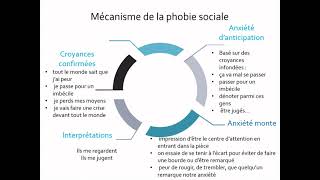 Le mécanisme de la phobie sociale [upl. by Eirotal]