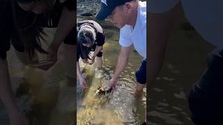 Crabbing and Mussels picking  Lakes Entrance [upl. by Vadim896]