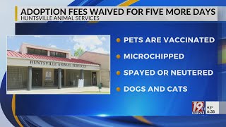 Adoption Fees Waived For Five More Days  August 26 2024  News 19 at 630 pm [upl. by Anaej]