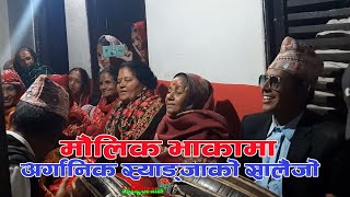 अर्गानिक स्याङ्जाको मौलिक सालैजो भाकाSyangja Ko Salaijo [upl. by Hicks]