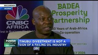 Adewale Tinubu on harnessing Africas gas potential key for industrialisation with CNBC Africa [upl. by Adnovay749]