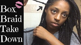 Taking Down Box Braids After 3 Months  Detangling amp Pre Poo Natural Hair [upl. by Amethyst]