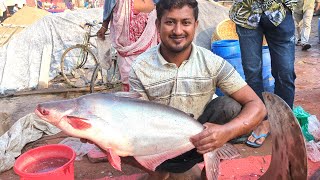 Amazing Pangasius fish cutting skills Fish Cutting Skills [upl. by Ydnamron]