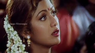 Sahasa Veerudu Sagara Kanya Scenes  Shilpa Shetty warned by a witch  Venkatesh [upl. by Isiahi364]