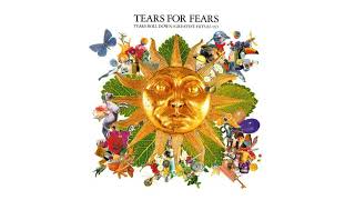 Tears For Fears  Woman in Chains [upl. by Noremac]