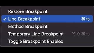 Debugger Basics in Intellij IDEA 2 Breakpoints [upl. by Gorlicki577]