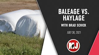 Baleage VS Haylage  Brad Schick  July 30 2021 [upl. by Anauqat]