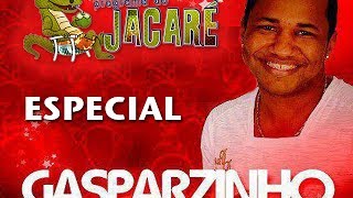 PROGRAMA DO JACARE ESPECIAL GASPARZINHO  VAI NO CAVALINHO  PO PO POPOZAO  PEGANDO A SUA IRMÃ [upl. by Averyl264]