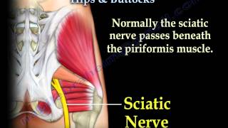 Muscle Anatomy Of The Hips amp Buttocks  Everything You Need To Know  Dr Nabil Ebraheim [upl. by Hakvir]