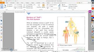 Types of grafting Grade 8 [upl. by Anekahs561]