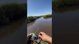 Whopper Plopper action fishing [upl. by Alta934]