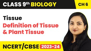 Definition of Tissue and Plant Tissue  Tissue  Class 9 Biology Chapter 6  202324 [upl. by Petronella]