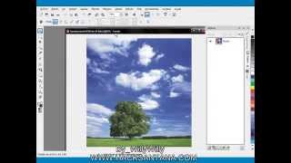 Fotomontaje Corel Photo Paint [upl. by Llebpmac]