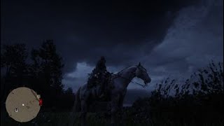 ANDALUSIAN PERLINO  NORTH WEST ANNESBURG  Red Dead Redemption 2  LOCATION [upl. by Milena]